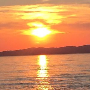 Meet your Posher, Lynnette